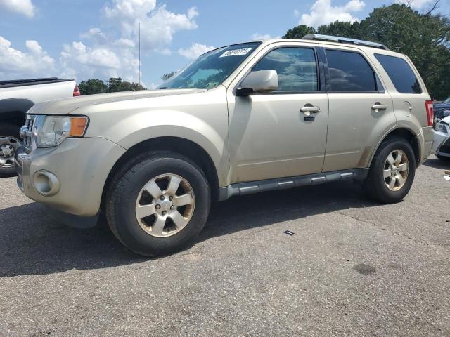 FORD ESCAPE LIM