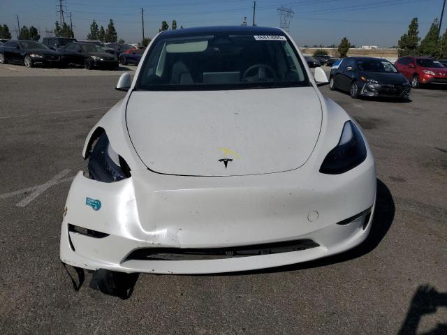2024 TESLA MODEL Y 7SAYGDED1RF095591