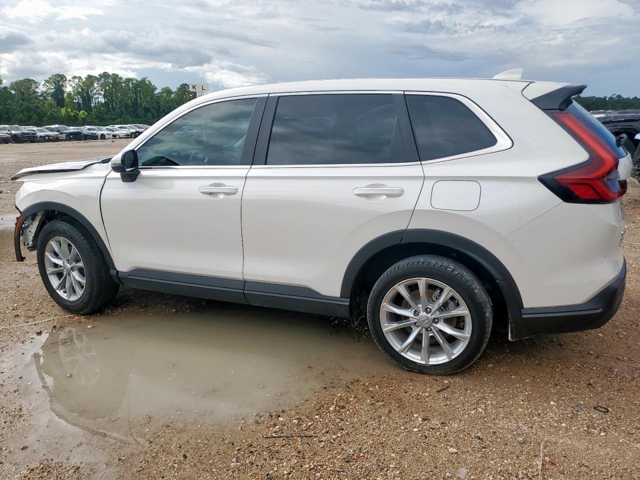 Honda Cr-v exl 2025