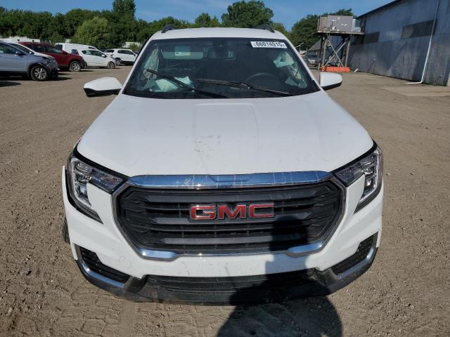 2022 GMC TERRAIN SL 3GKALMEV1NL313628