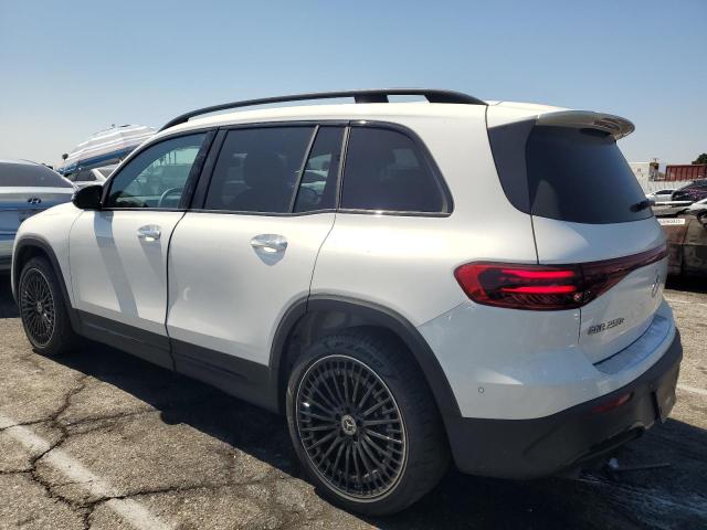 2024 MERCEDES-BENZ EQB 250+ W1N9M0CB4RN087001