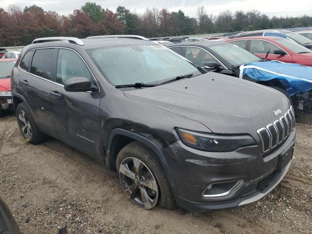 2019 JEEP CHEROKEE L 1C4PJMDX3KD281782