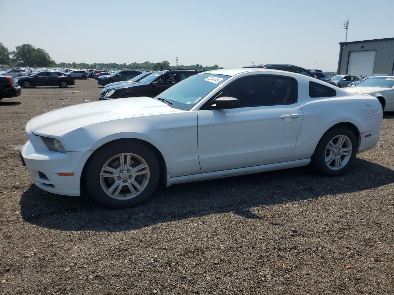 FORD MUSTANG