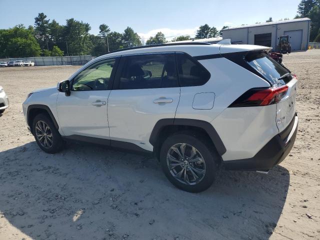 2024 TOYOTA RAV4 XLE PREMIUM JTMB6RFV2RJ054566