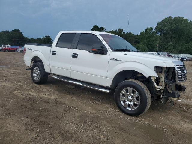 2010 FORD F150 SUPER - 1FTFW1EV3AFA78841