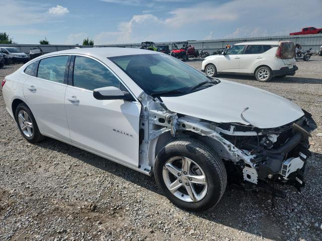 2024 CHEVROLET MALIBU LS 1G1ZB5STXRF247549