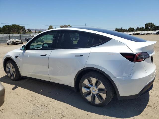 2022 TESLA MODEL Y 7SAYGAEE9NF366611