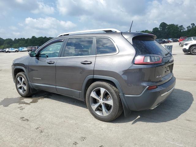 2019 JEEP CHEROKEE L 1C4PJMDX5KD255653