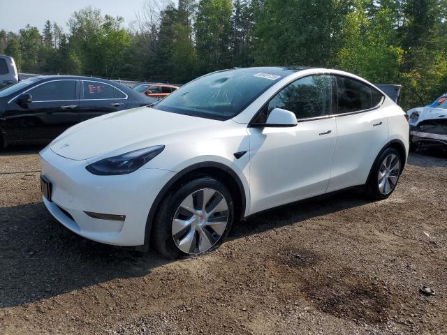 Global Auto Auctions: 2023 TESLA MODEL Y