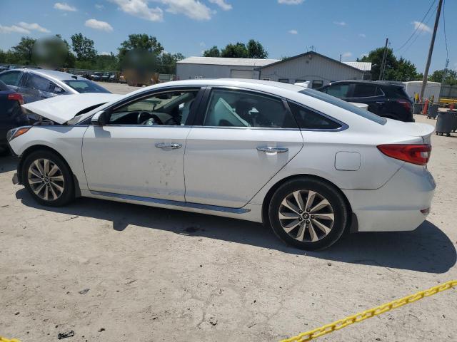2017 HYUNDAI SONATA SPO - 5NPE34AF5HH502654