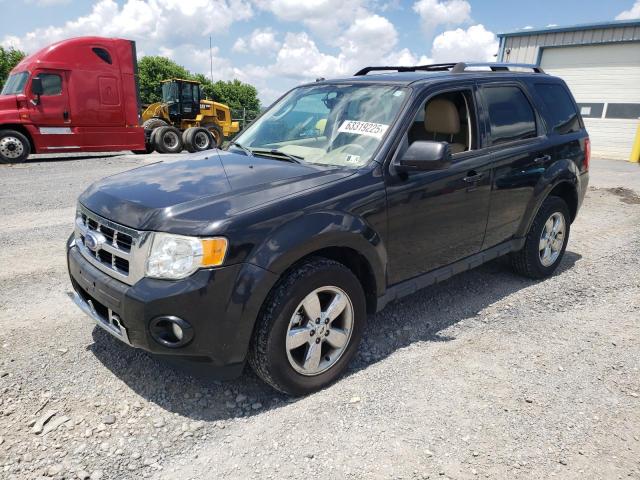 Vin: 1fmcu9eg4bkb95924, lot: 63319225, ford escape limited 2011 img_1