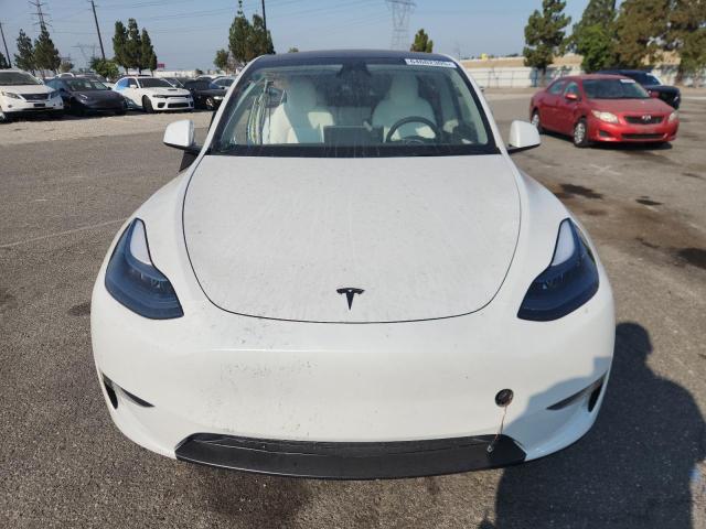 2024 TESLA MODEL Y 7SAYGDED6RF167241