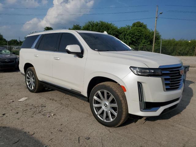 2023 CADILLAC ESCALADE P 1GYS4DKT4PR198609