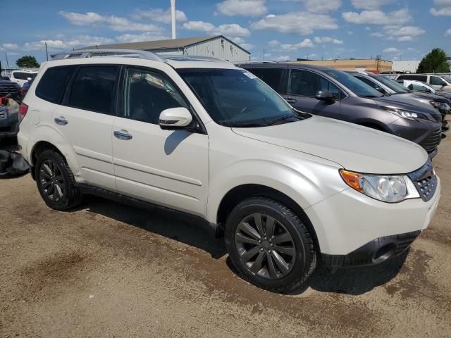 2013 SUBARU FORESTER 2 - JF2SHCDC2DH422853