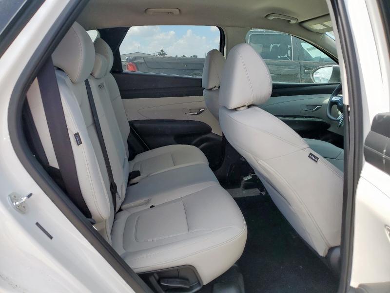 2025 HYUNDAI TUCSON SEL 5NMJB3DEXSH521977