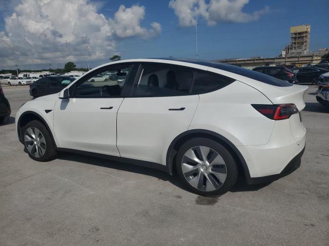2021 TESLA MODEL Y 5YJYGDEEXMF067142