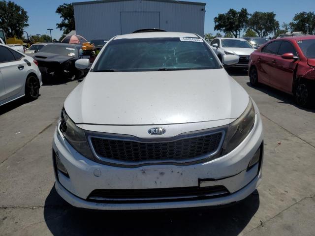 2016 KIA OPTIMA HYB KNAGM4AD7G5096411