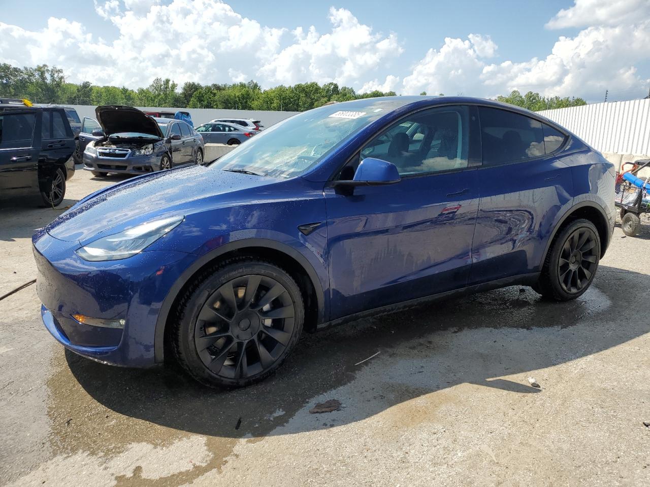 TESLA MODEL Y