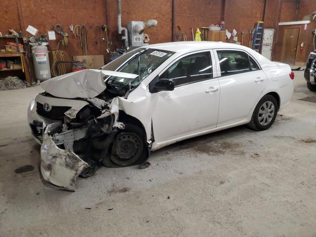 TOYOTA COROLLA BA