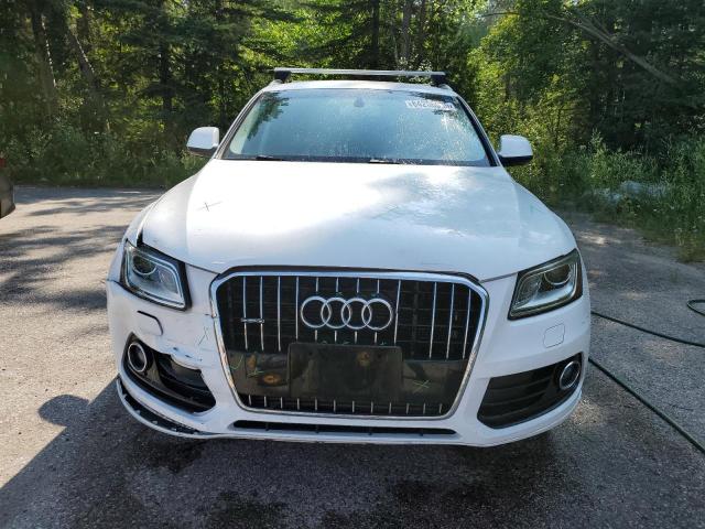 2013 AUDI Q5 PREMIUM - WA1LFCFP4DA097599