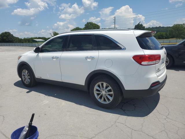 2017 KIA SORENTO LX 5XYPGDA50HG208431