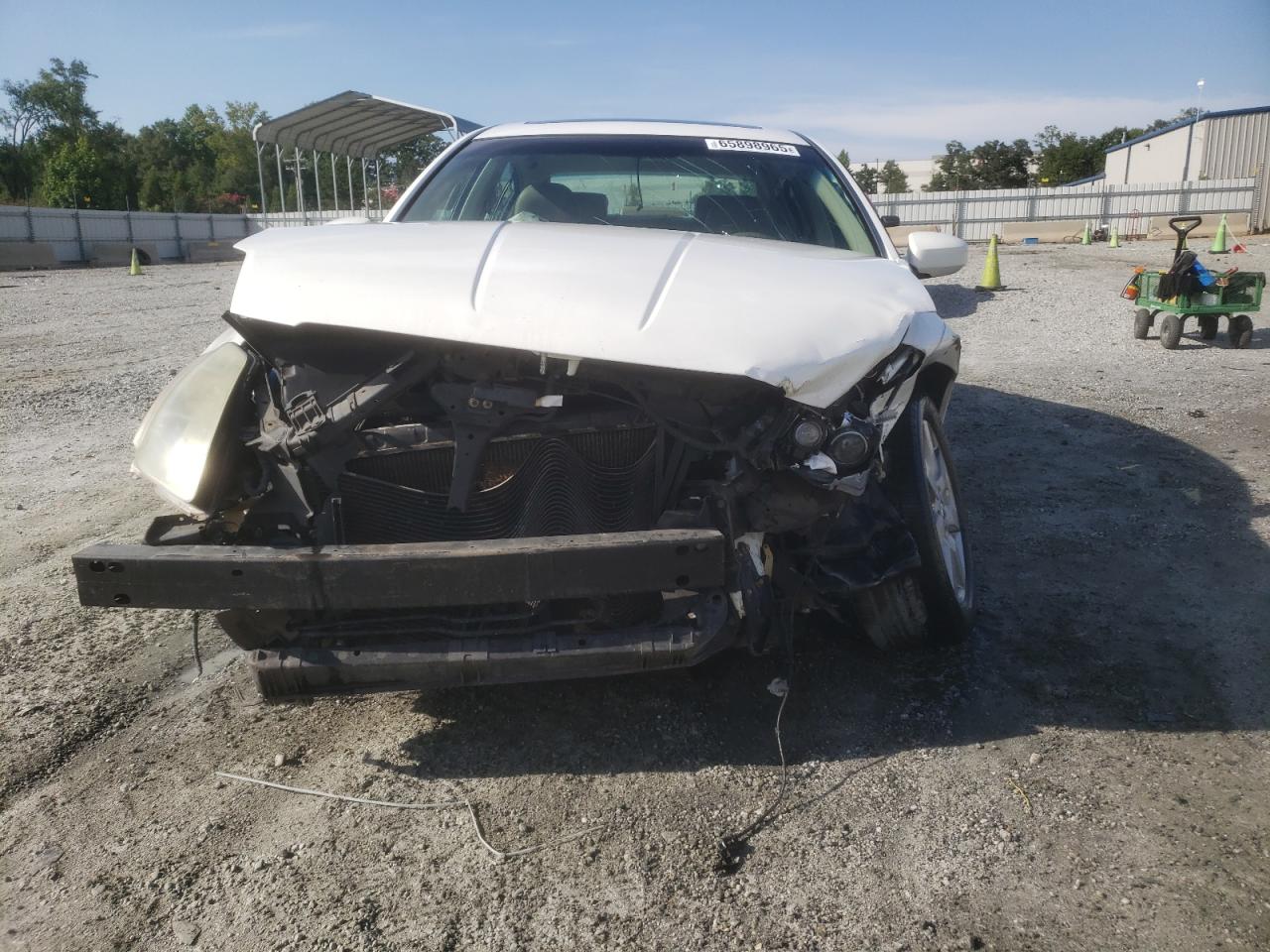 Lot #3281635385 2004 NISSAN MAXIMA SE