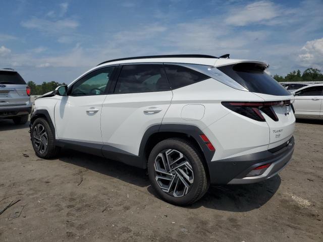 2025 HYUNDAI TUCSON LIM 5NMJECDE9SH467398