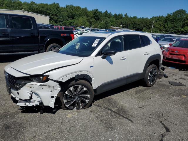 2025 MAZDA CX-50 PREMIUM PLUS 7MMVAAEW0SN101695