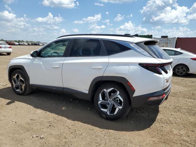2023 HYUNDAI TUCSON SEL 5NMJFCAE3PH246548