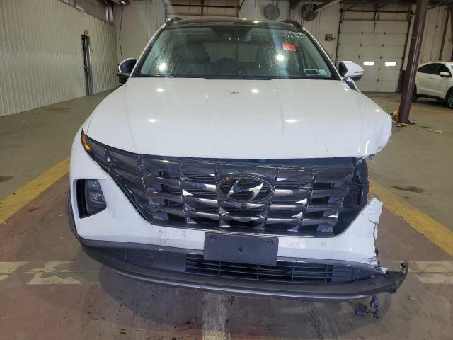 2024 HYUNDAI TUCSON LIM - 5NMJECDE1RH388401