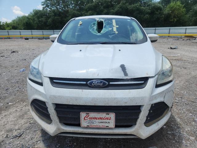 2016 FORD ESCAPE SE - 1FMCU9G94GUA09812