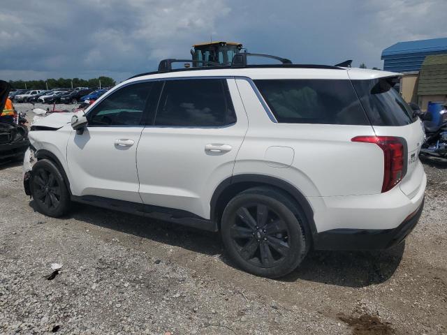 2024 HYUNDAI PALISADE XRT KM8R34GE7RU783732