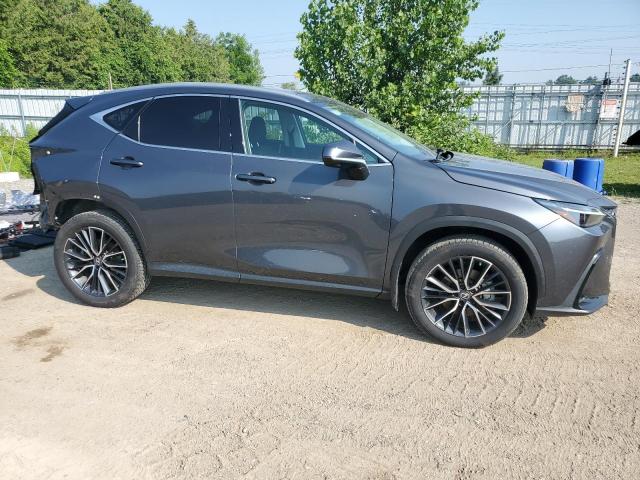 2022 LEXUS NX 350 2T2GGCEZ6NC004338
