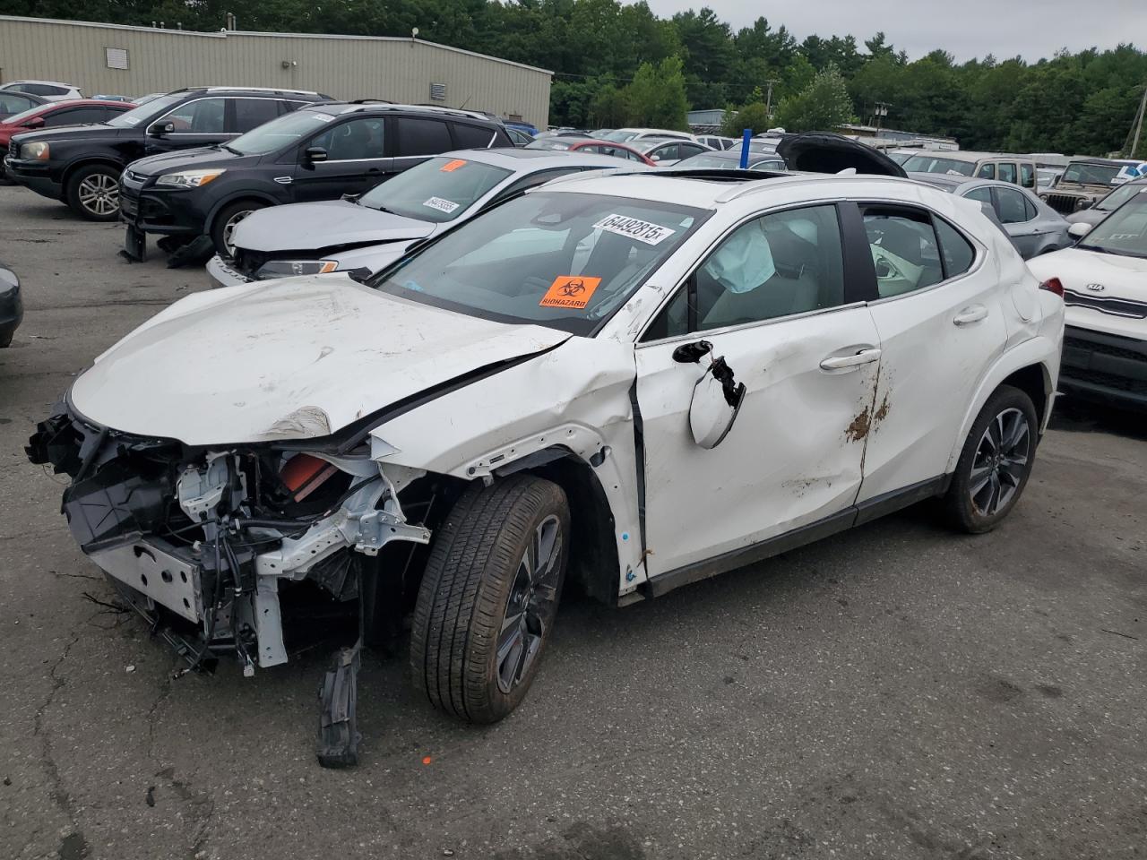 LEXUS UX 300H BASE