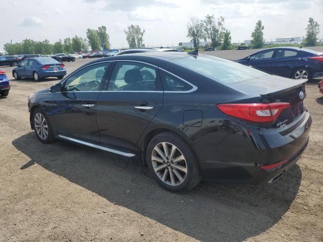 2016 HYUNDAI SONATA SPO 5NPE34AF9GH277279