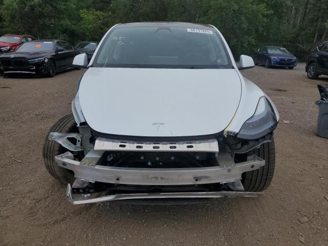 2024 TESLA MODEL Y LRWYGDFD7RC639369