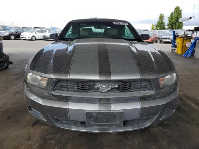 2011 FORD MUSTANG - 1ZVBP8EMXB5120101