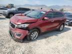 Top Destinations for Shipping Cars from the USA