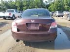 Lot #3305320302 2010 HONDA ACCORD EXL