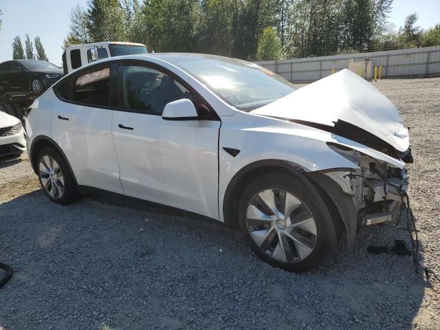 2022 TESLA MODEL Y 7SAYGDEE3NF440994
