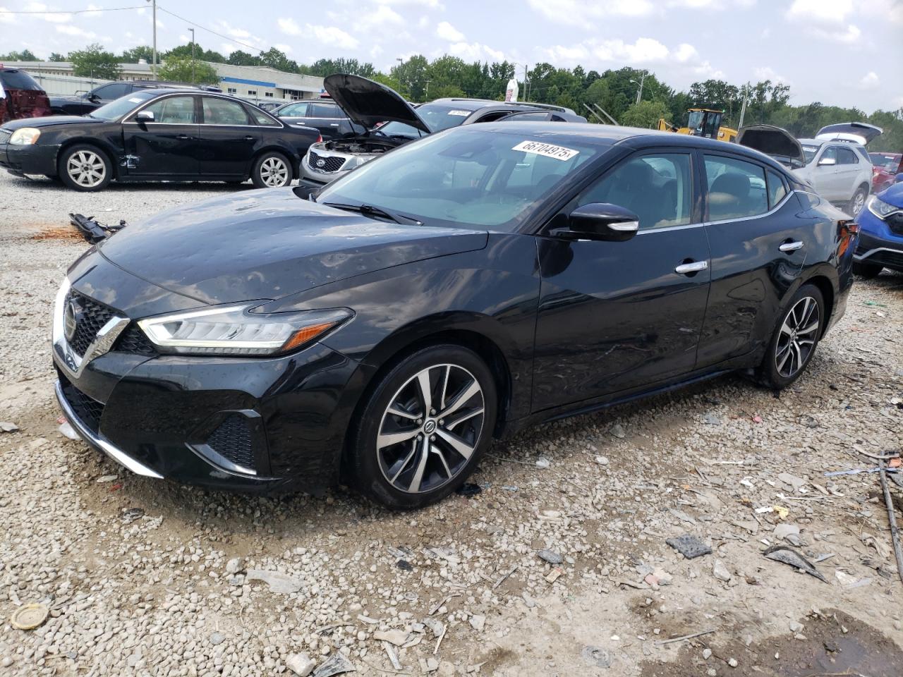 NISSAN MAXIMA SV