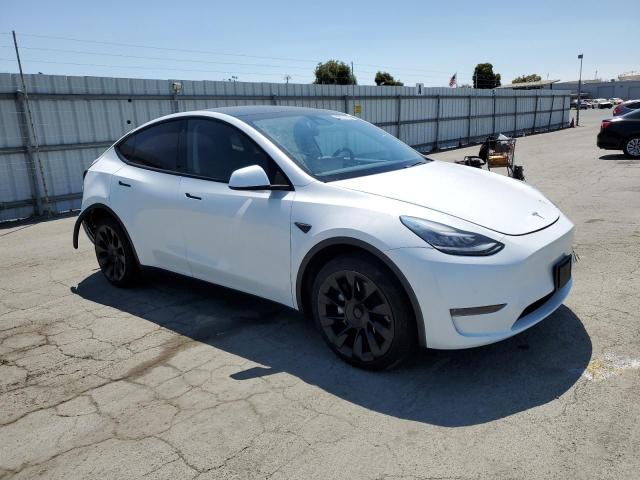 2020 TESLA MODEL Y 5YJYGDEF2LF004253