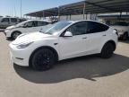 2023 TESLA MODEL Y - 7SAYGDEE2PF878568