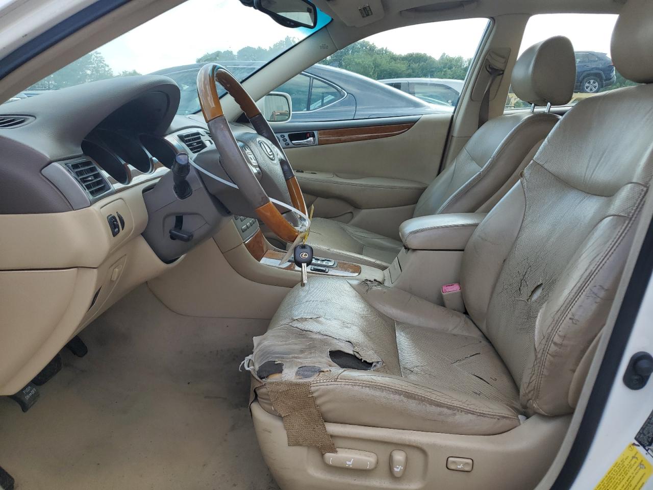 Global Auto Auctions