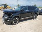 2024 KIA TELLURIDE - 5XYP6DGCXRG541228