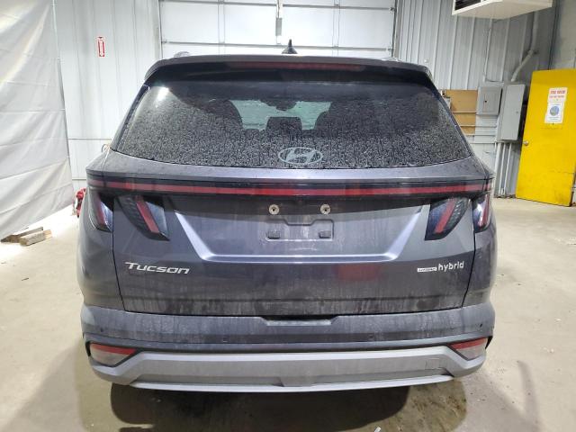 2025 HYUNDAI TUCSON LIM - KM8JEDD13SU271755