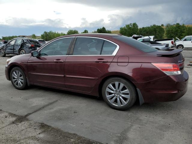 2011 HONDA ACCORD EXL - 1HGCP2F85BA079035