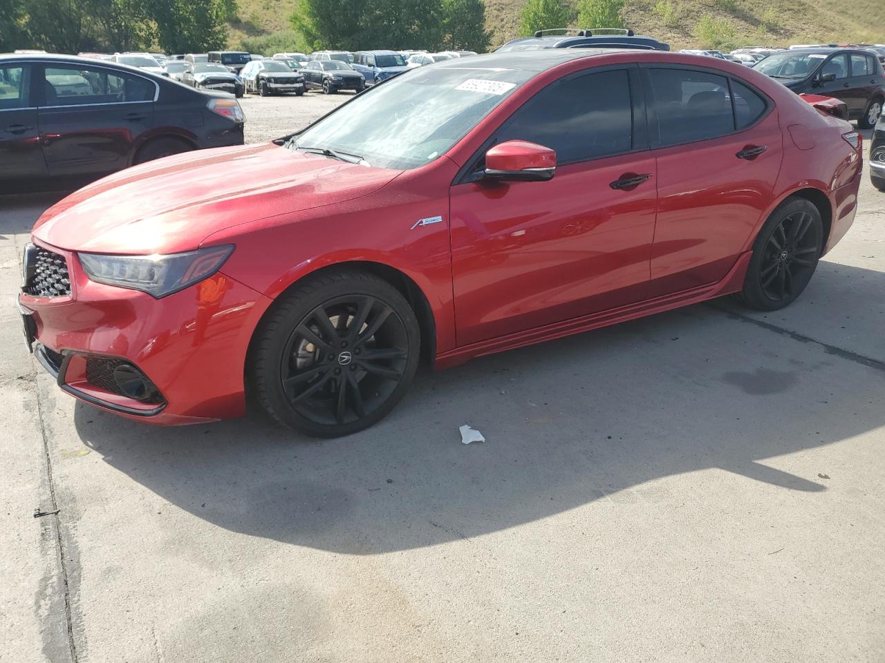 Lot #3302746058 2020 ACURA TLX ADVANCE