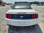 Lot #3316874073 2020 FORD MUSTANG