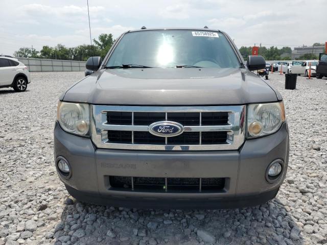 2011 FORD ESCAPE XLT - 1FMCU0D79BKB21363